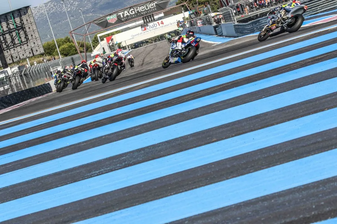 boldor2019ewc