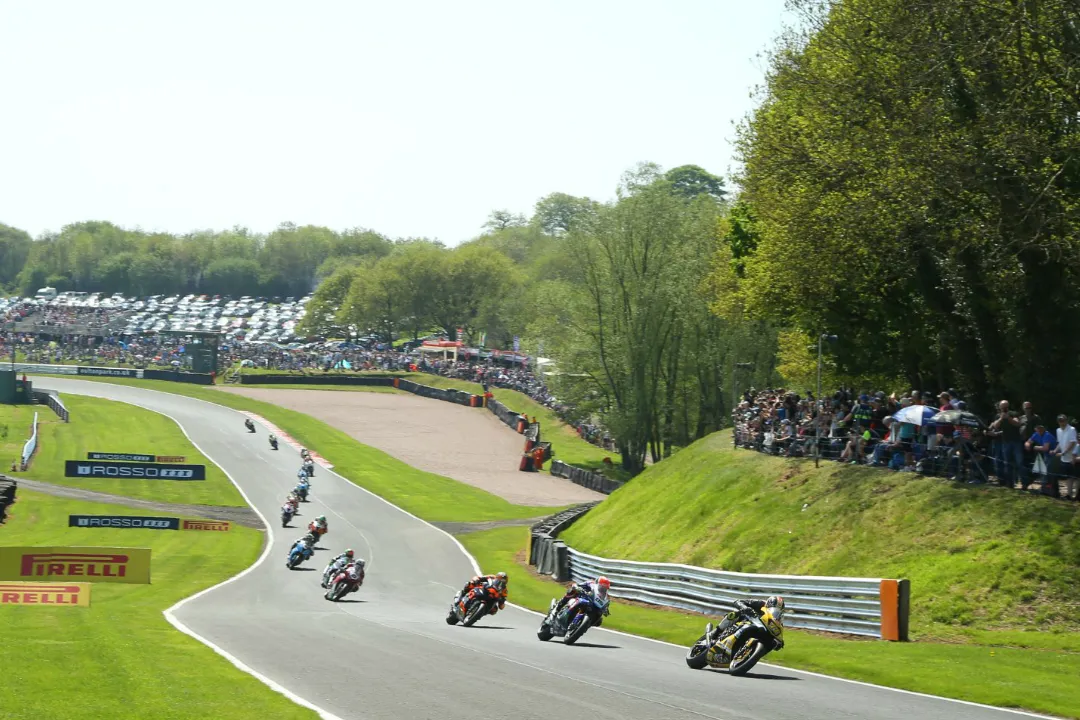 bsb oultonpark panoramica
