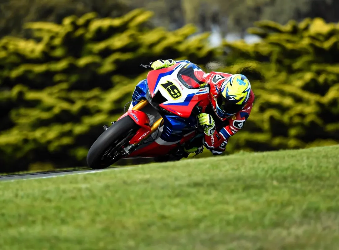 cover bautista e1582616163248