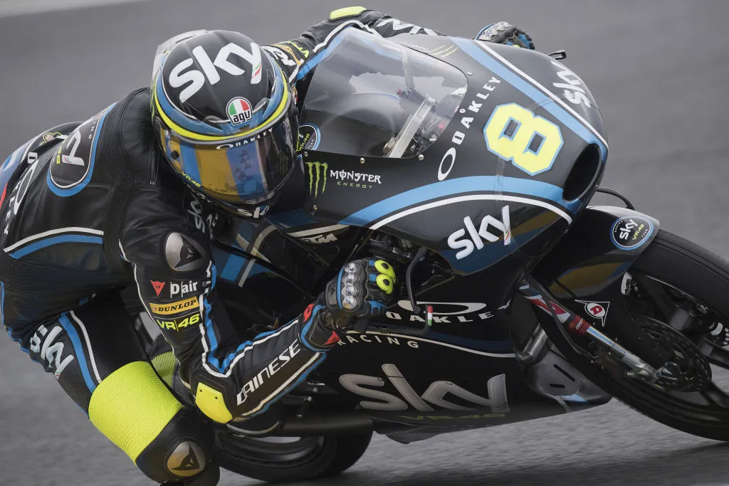 cover bulega