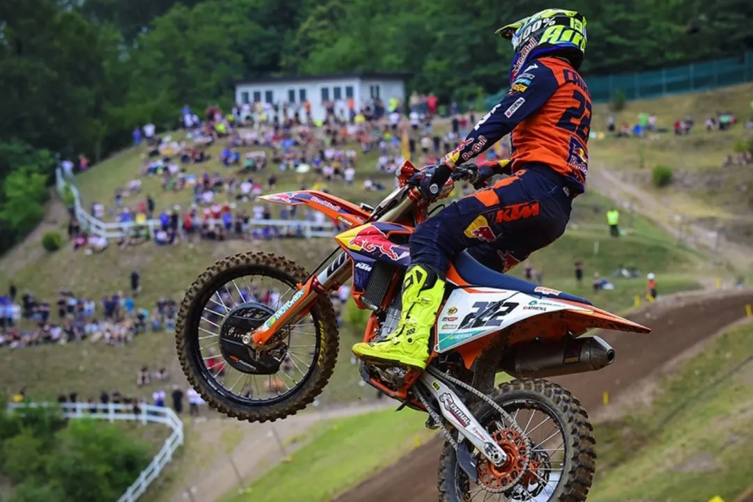 cover cairoli e1626619406603