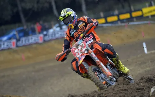 cover cairoli