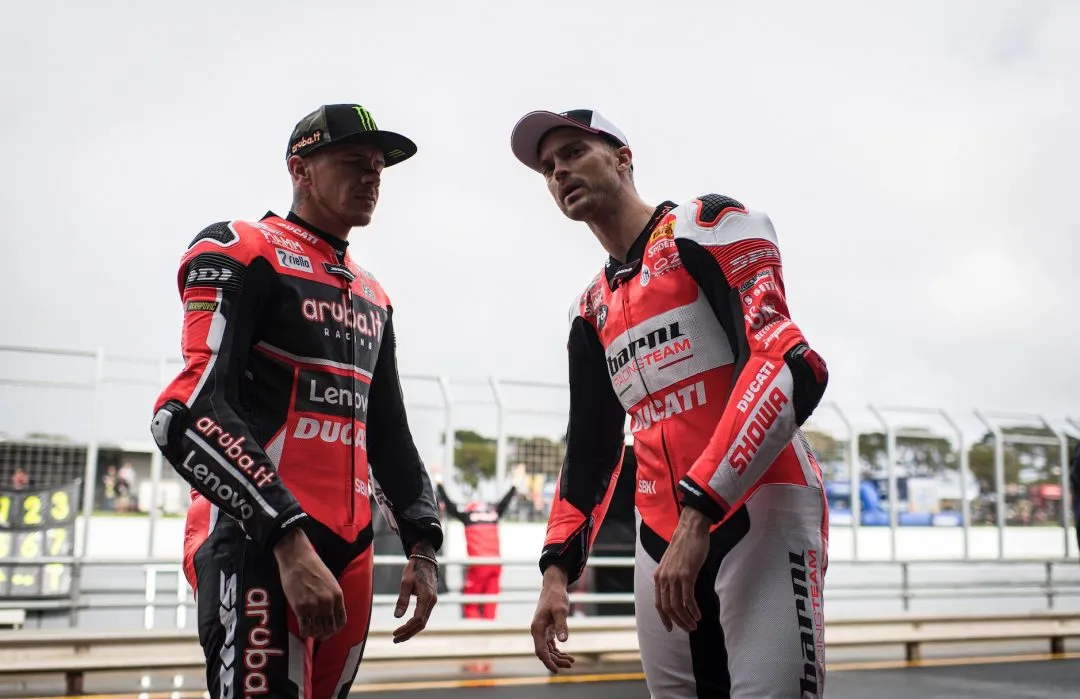 cover camier e1582932760111