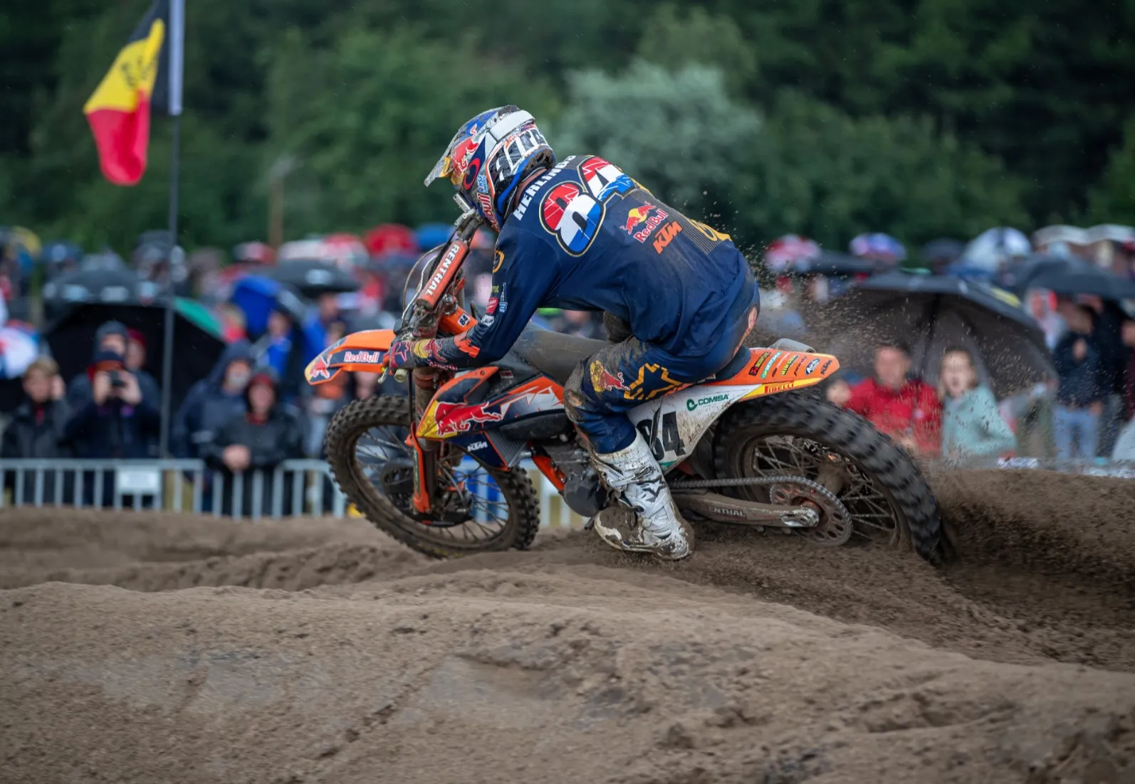 cover herlings
