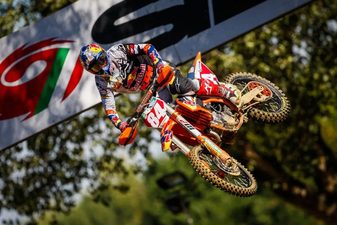 cover herlings e1599402778991