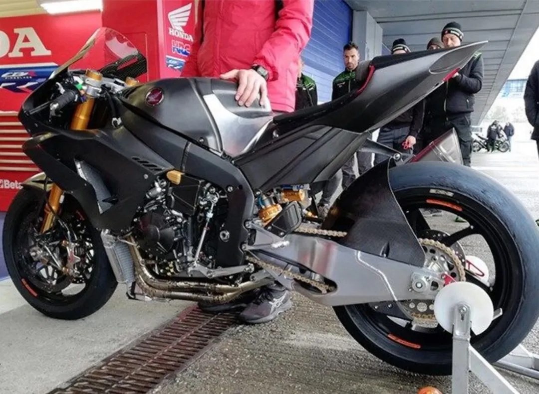 cover hond e1579696092808