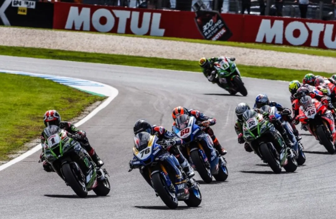 cover loris baz 2 e1583776003149