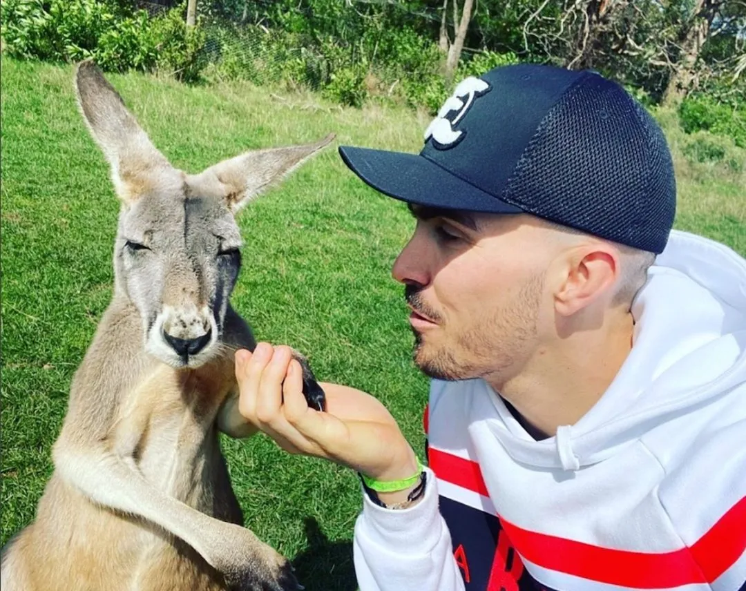 cover loris e1582785232878