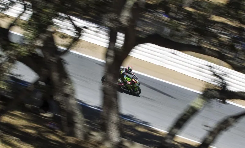 cover rea 1 1 e1529790166778