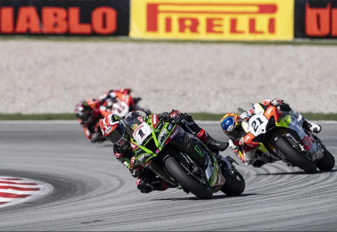 cover rea e1600624450716