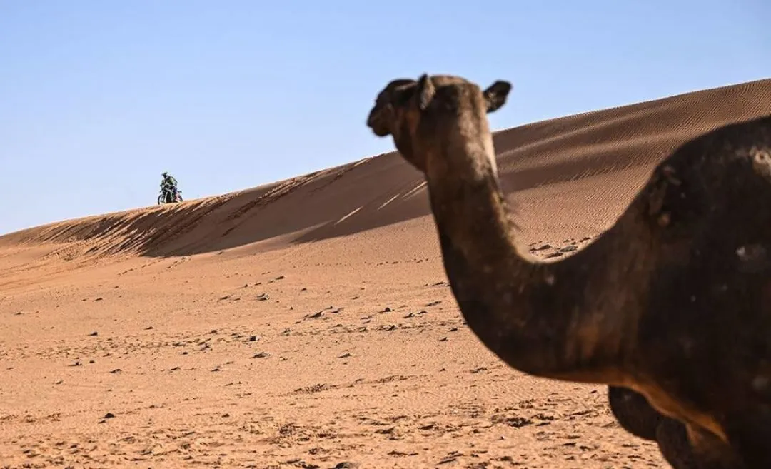 dakar 2022 e1641750510805