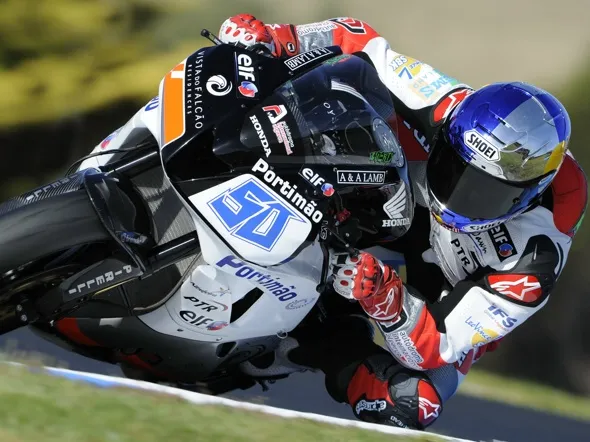 eugenelaverty previewportimao