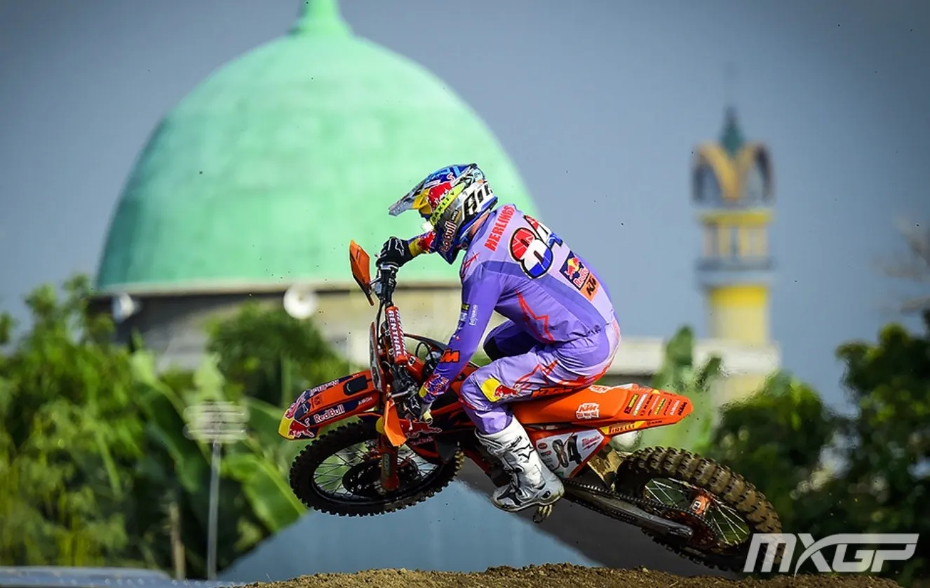 herlings 2