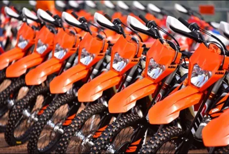 immagine 5 e1544628260516