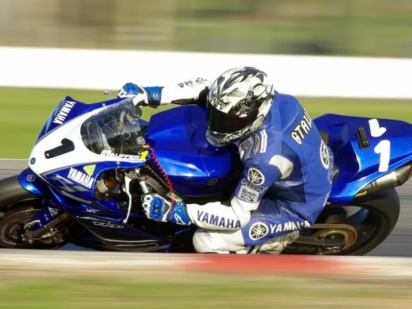 jamie stauffer winton 2008