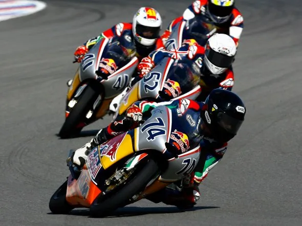 kevin calia rookies brno 3