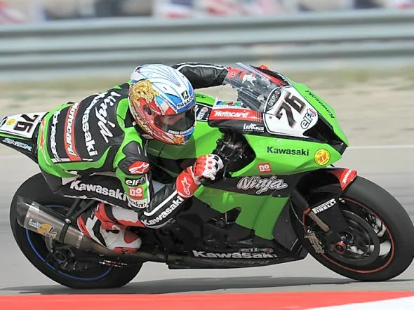 loris baz miller 2012