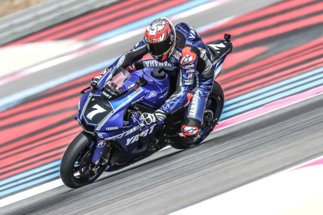 loris baz pre test bol dor 2019