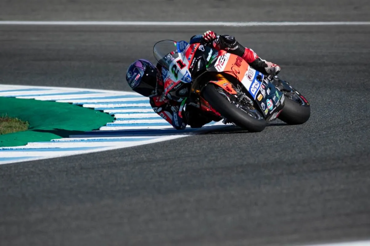 michael ruben rinaldi