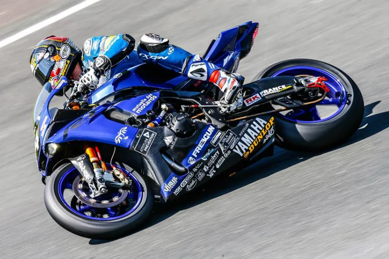 niccolocanepaoschersleben