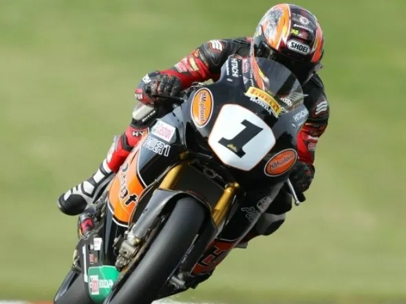 ryuichi kiyonari 2011 ghmplant 1