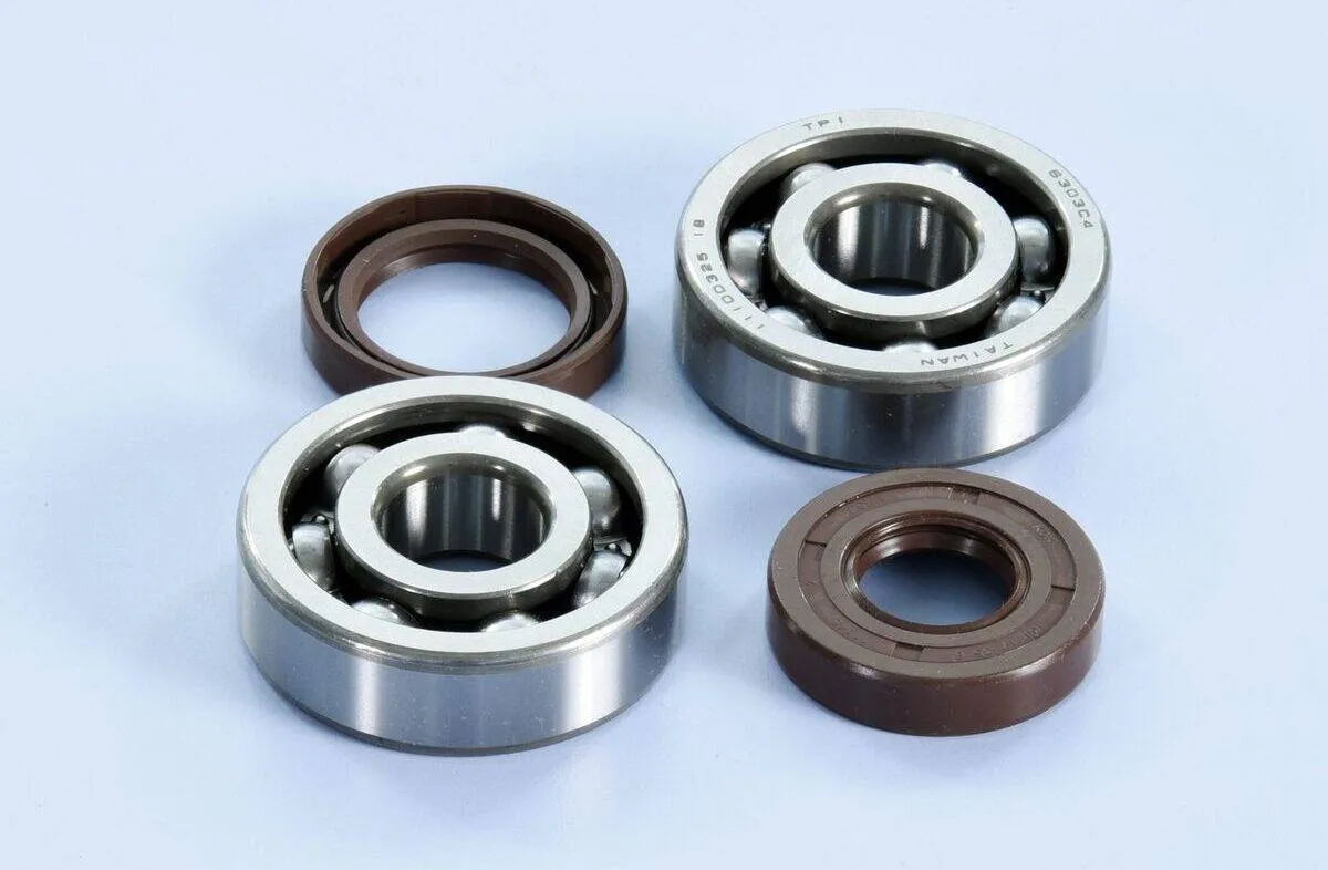 kit-revisione-polini