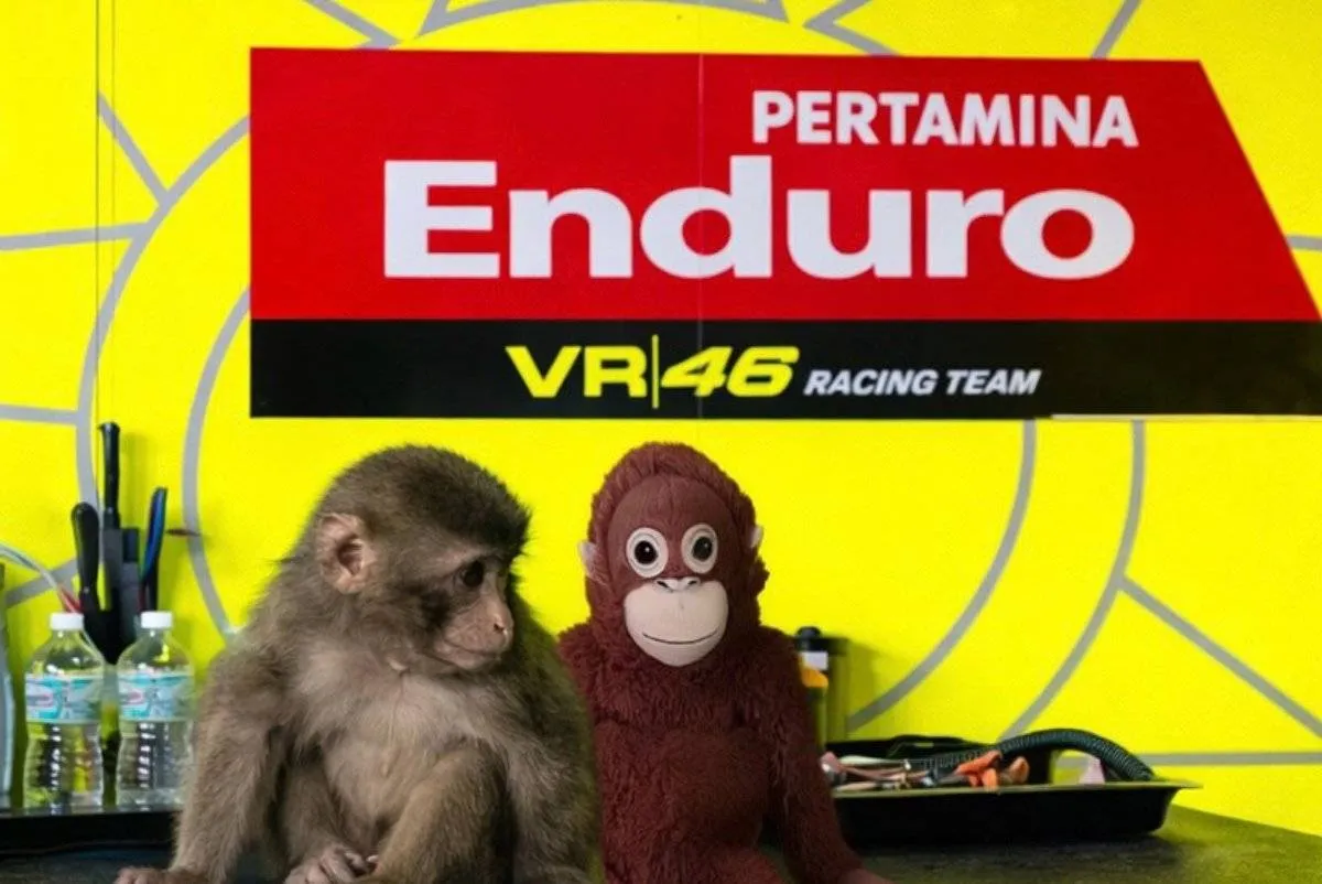 Pertamina VR46 Racing Team