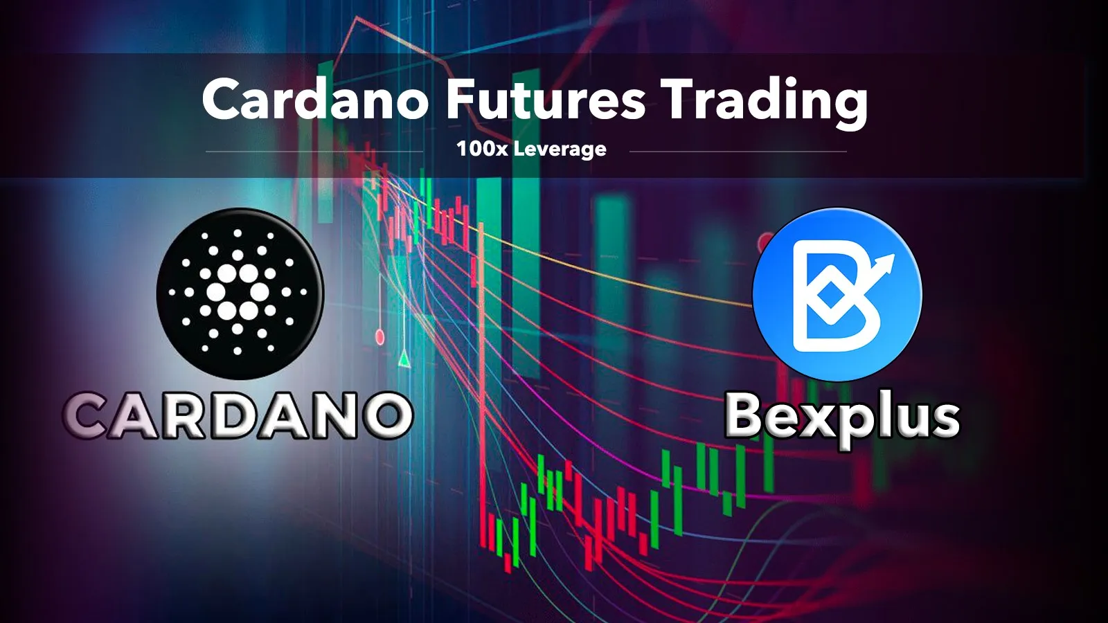cardano bexplus