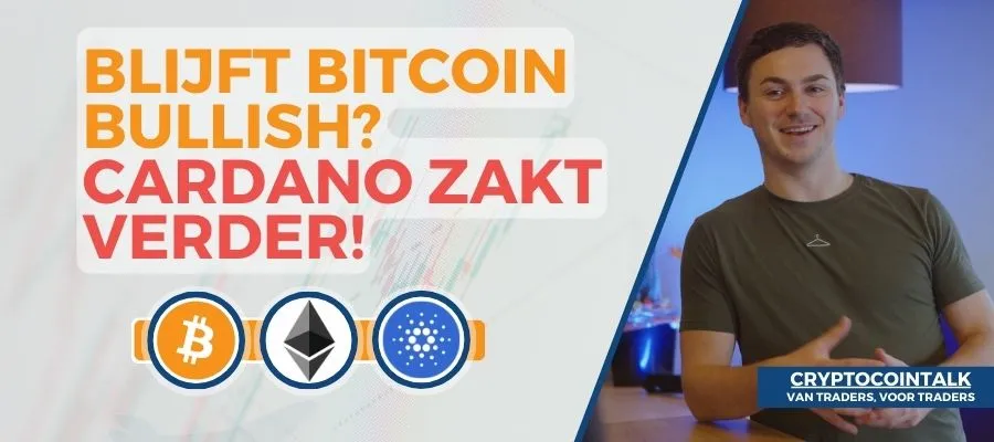 cb thumbnail site 13 1