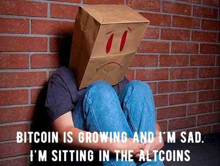 cryptomemes cryptobenelux 4