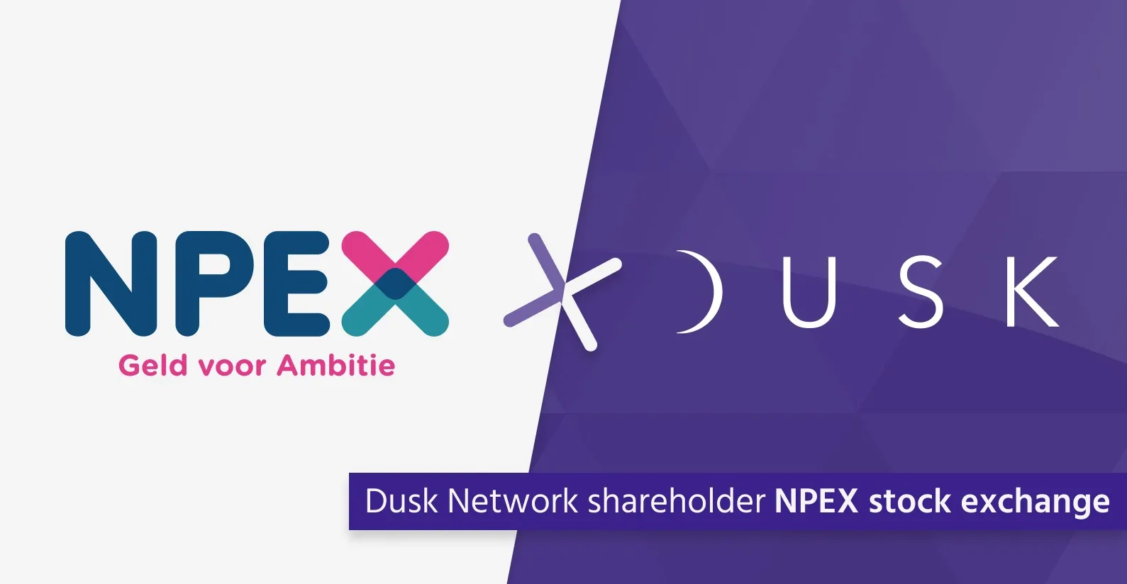 dusk network npex
