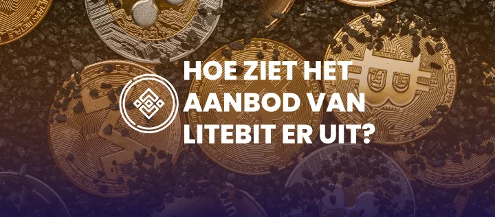 litebit tekengebied 1 kopie 12