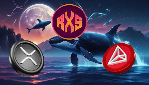 rexas finance presale