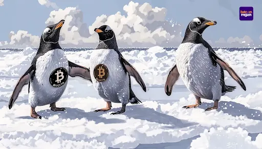 PENGU crypto
