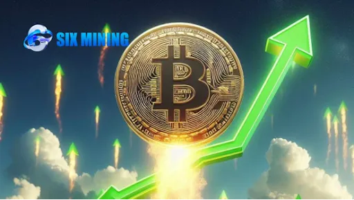 SIX MINING