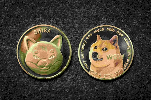 Shiba Inu vs Dogecoin thumbnail