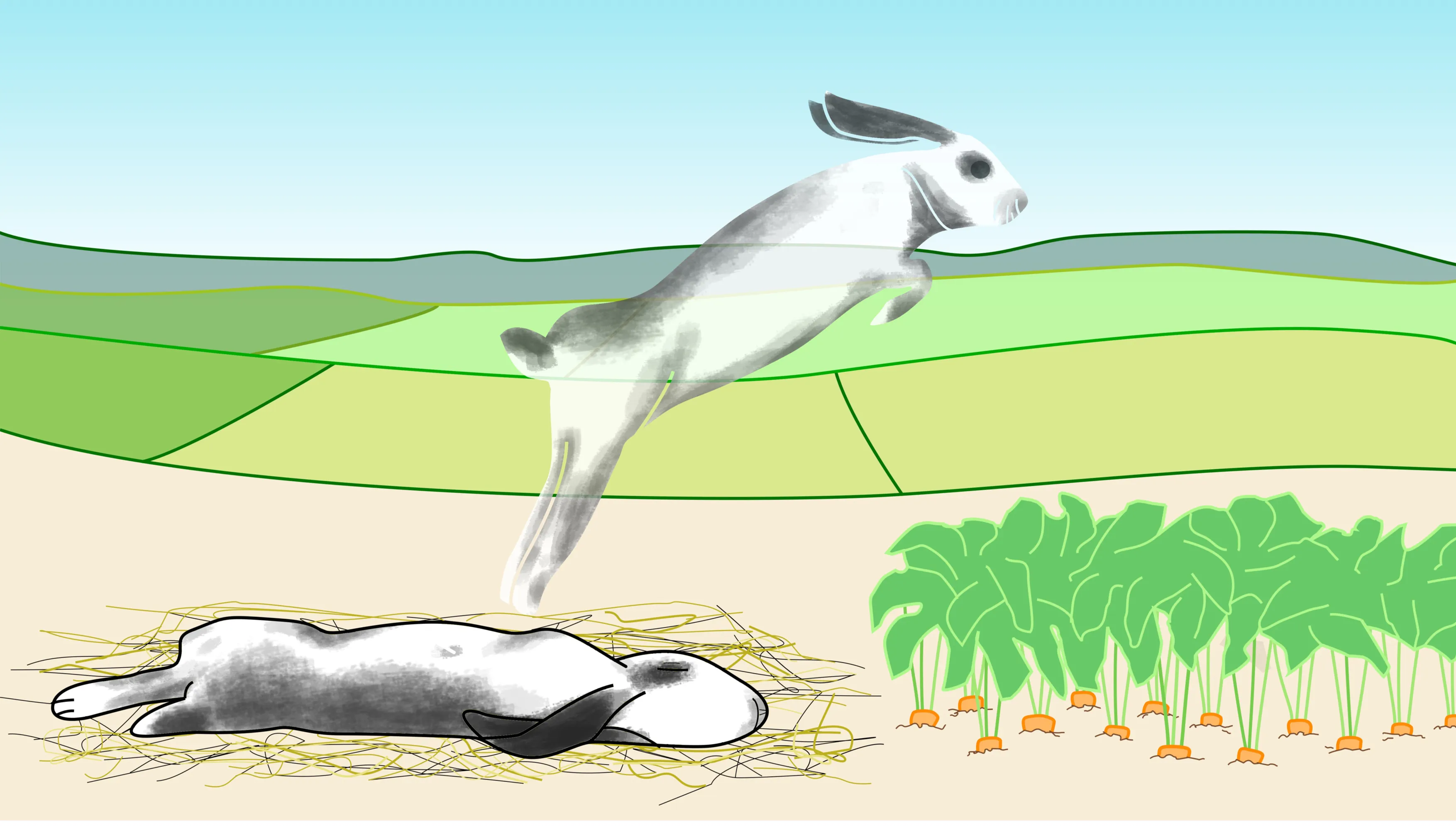 009 illustratie column martijn schraven jca