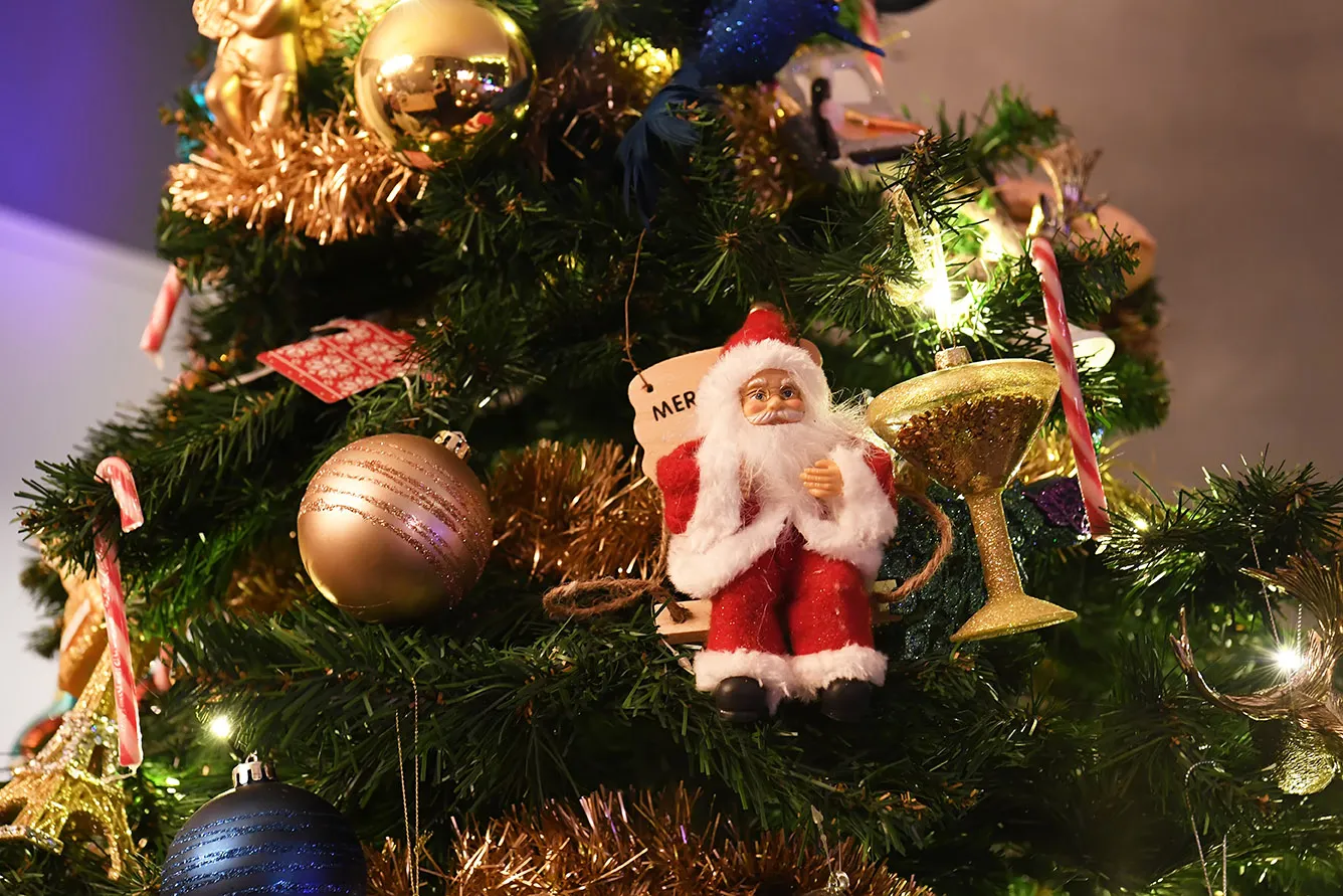 110441 20231212 roosendaal jst2902 5568x3712 copy