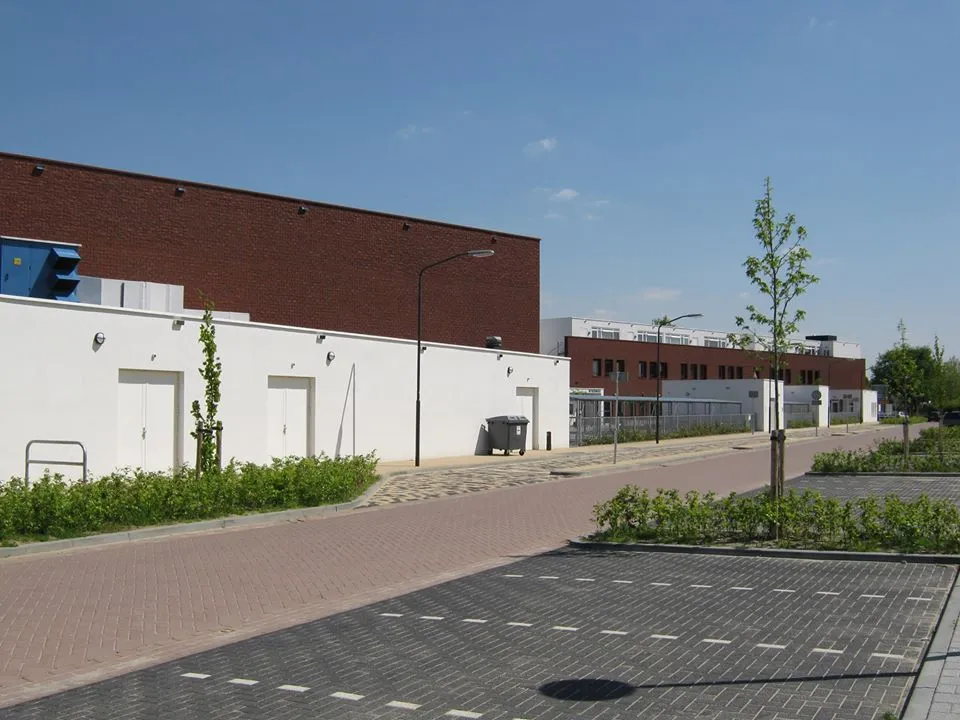 117817031 1766000286888957 7553205922033660092 o