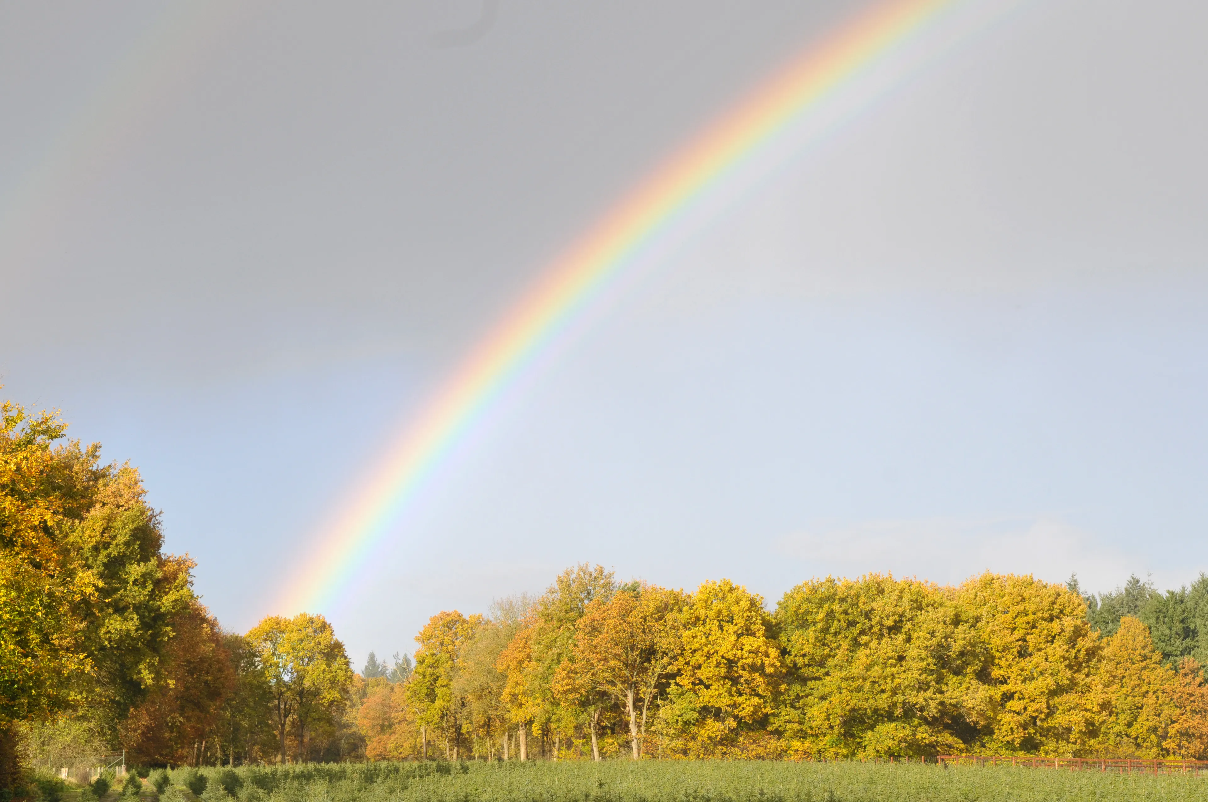 20171118 loon op zand herfst jst2538