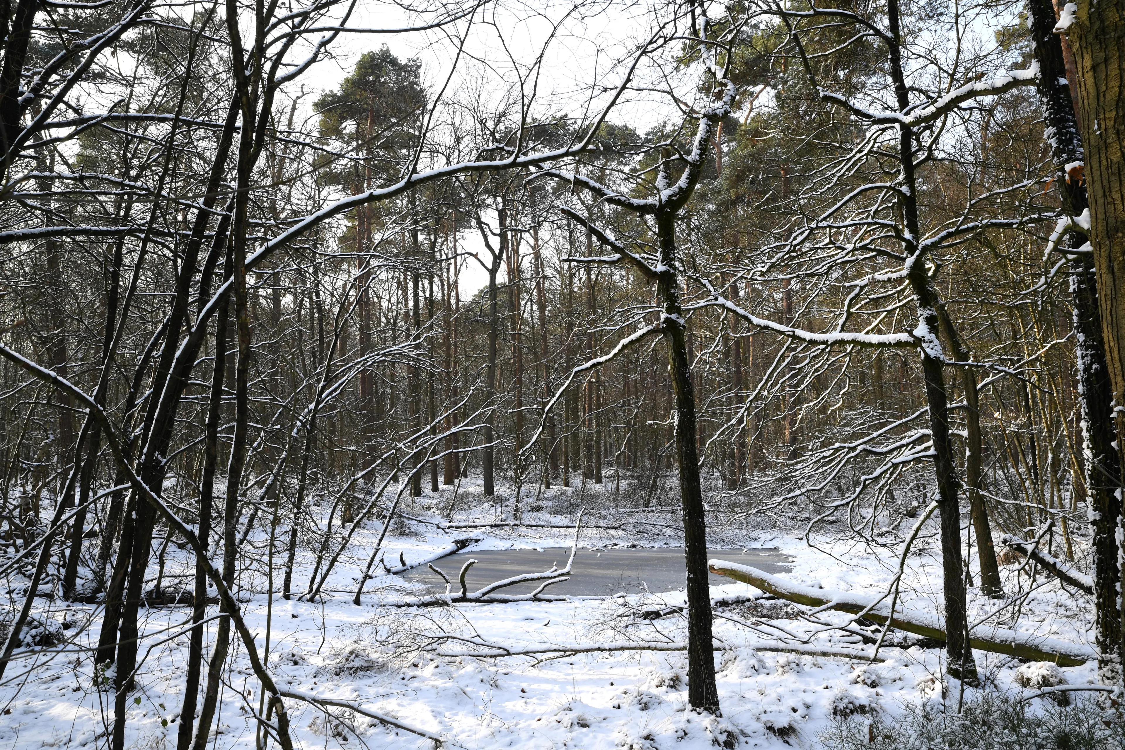 20190123 achtmaal jst0089 g