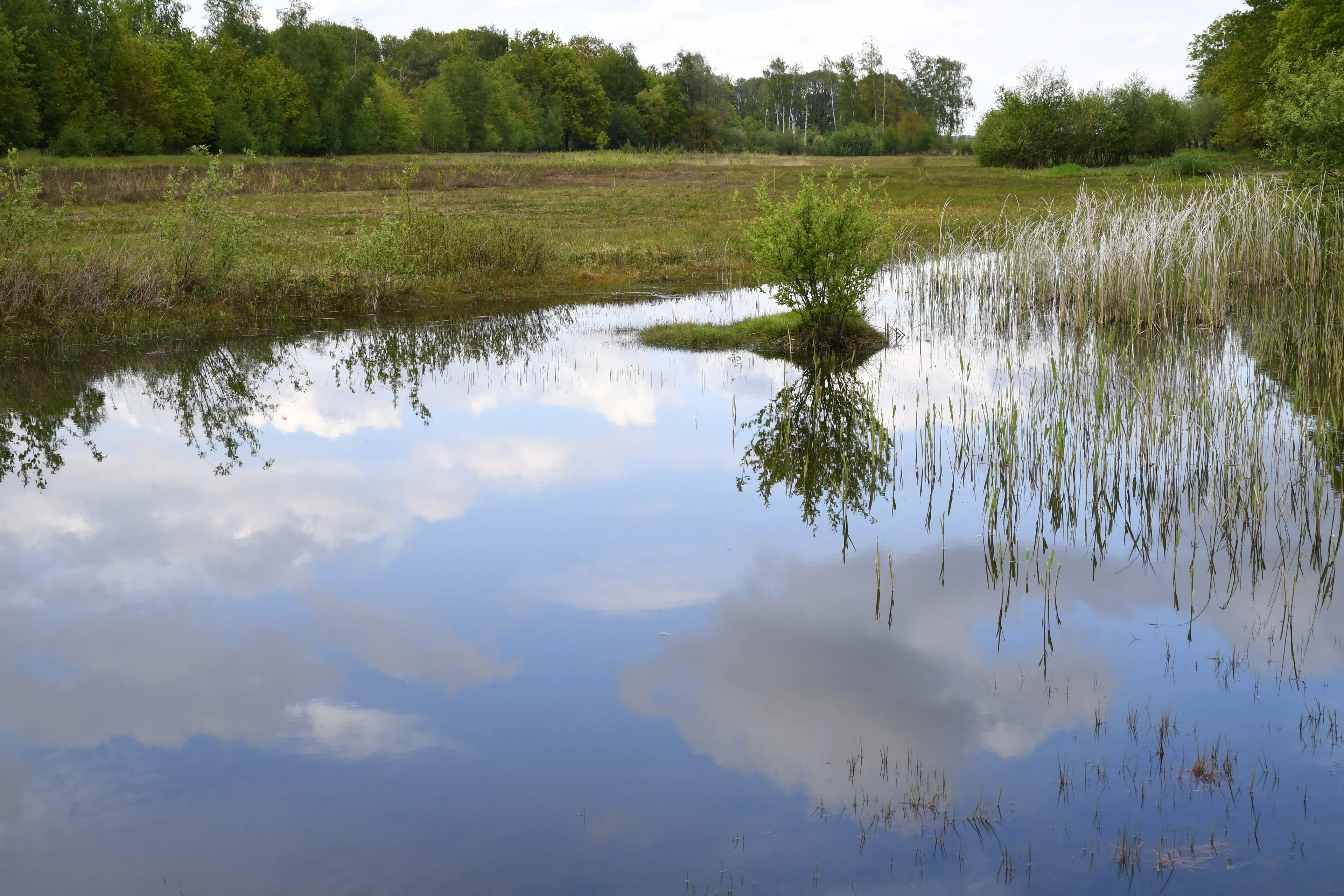 20190510 alphen landgoed de hoeven jst4166