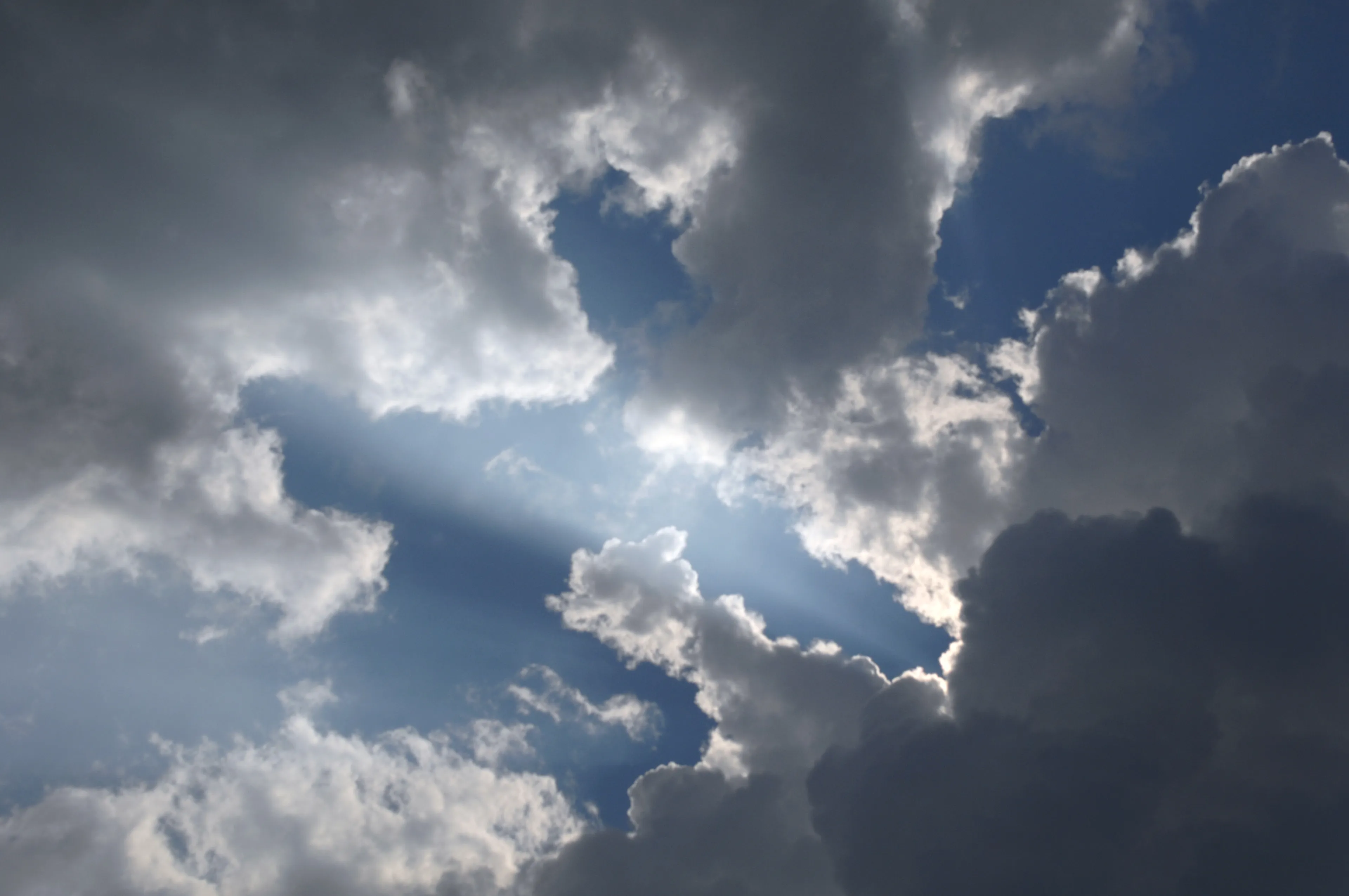 20200619 20200412 tilburg jca3559