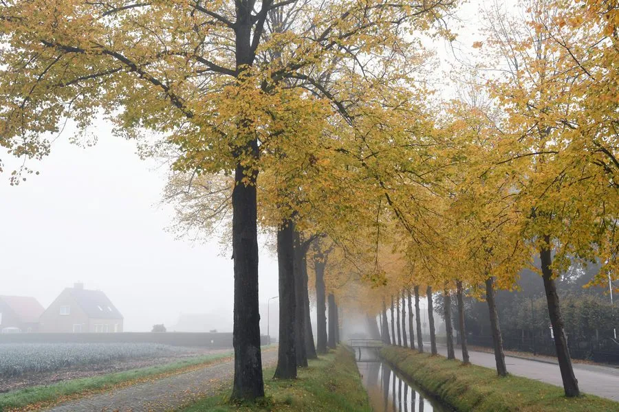 20201023 dongen herfst jst6863