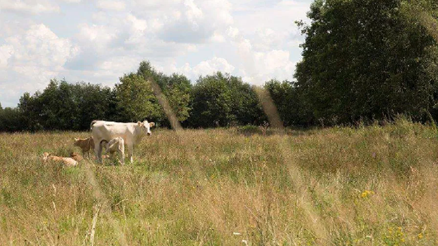 20210416 onderzoek gac