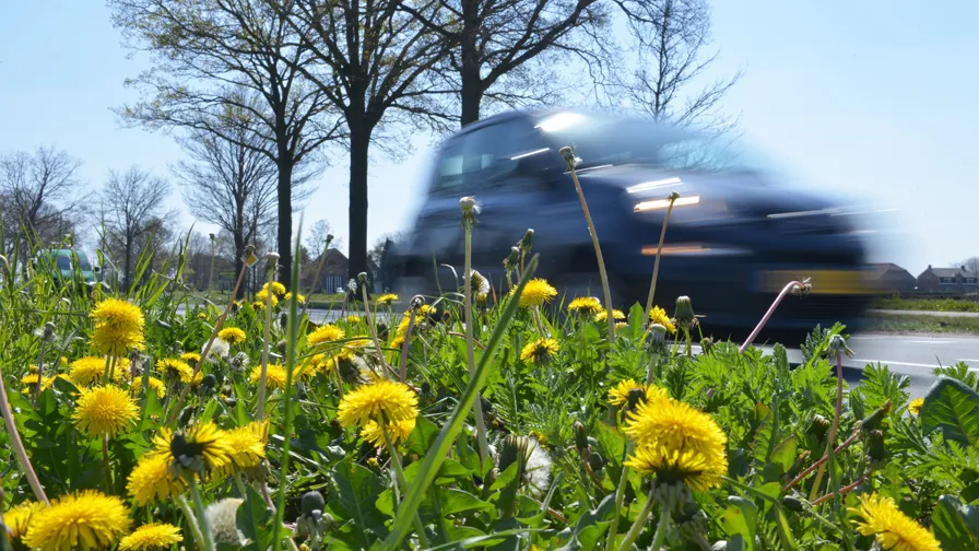 20210428 bio berm jca