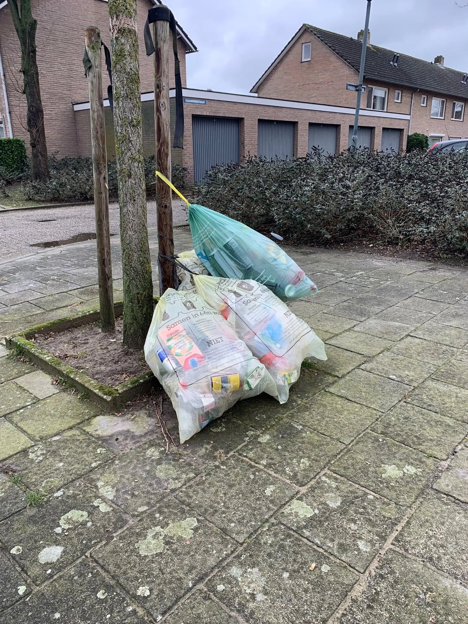 274002570 251723973799889 3894158259743979763 n