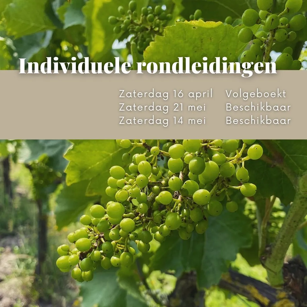 277654590 4879143158801091 751996415048611072 n