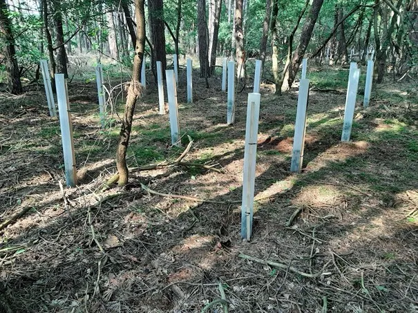 302068029 416448390588292 4173620346501376553 n