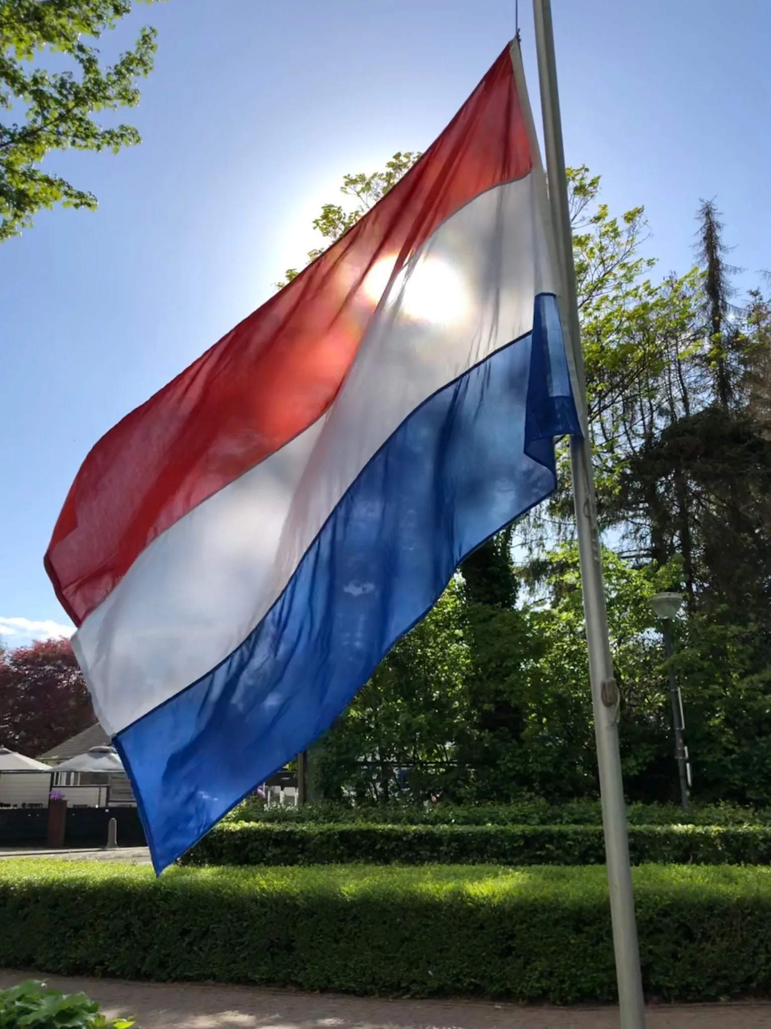 307427715 401103885528563 8163375022976234584 n